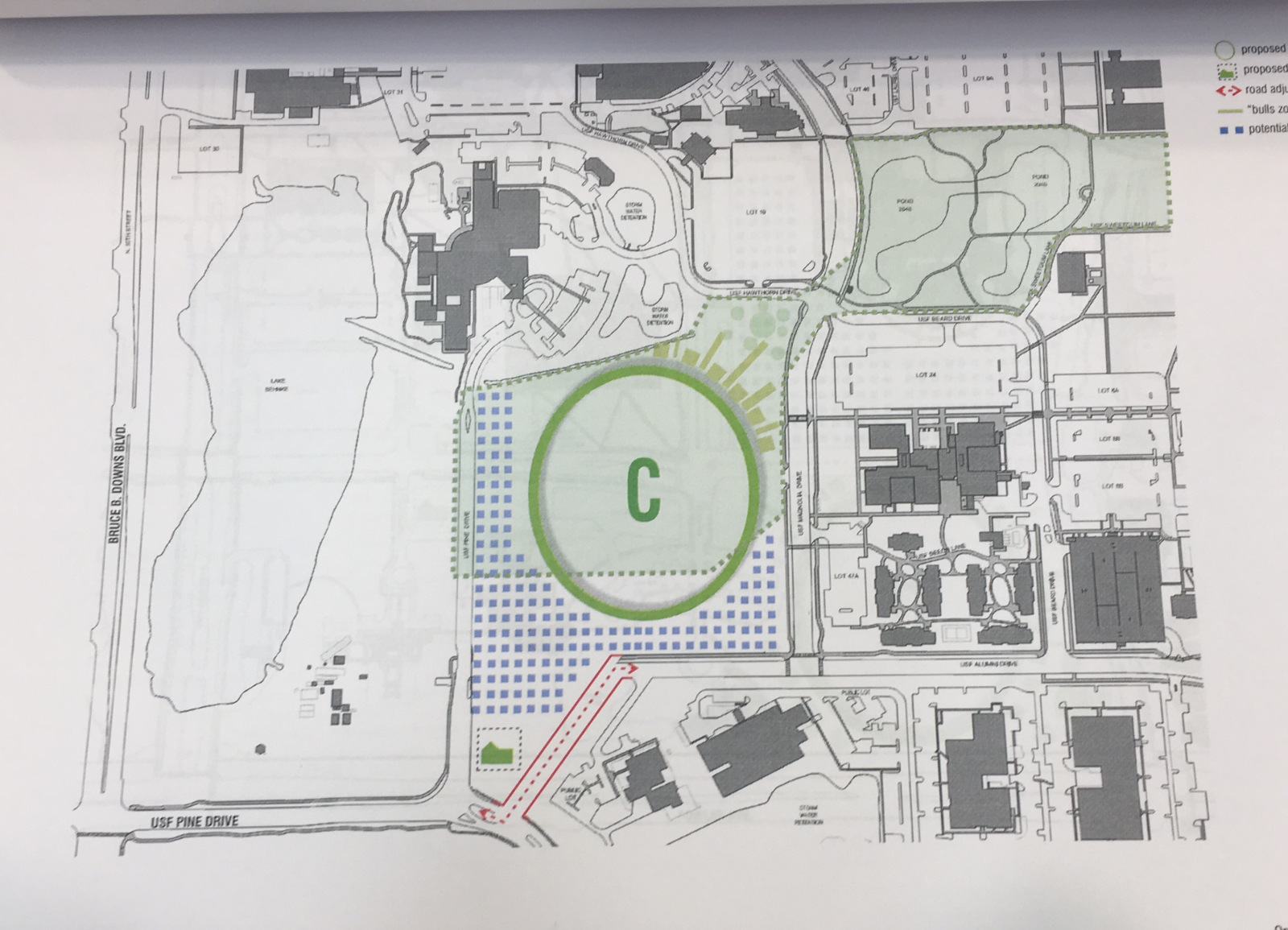 USF Stadium Pine Drive